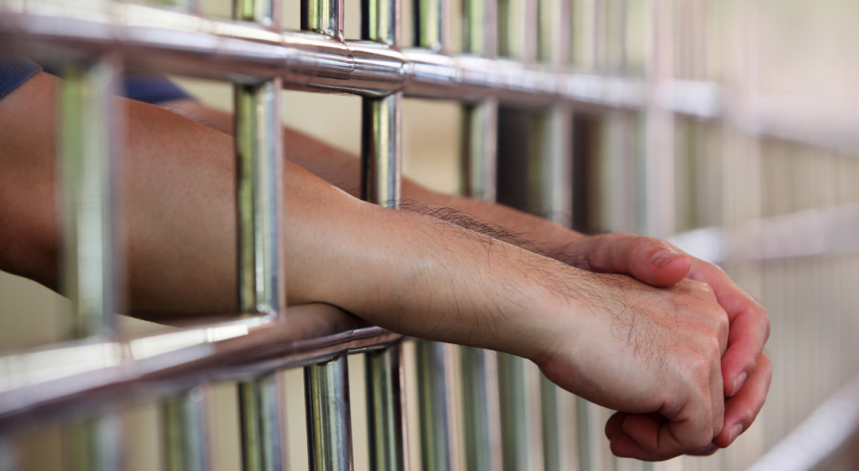 Mężczyznom podejrzanym o nielegalny ubój świń i sprzedaż mięsa grozi nawet rok więzienia; Fot. Shutterstock Kujawsko-pomorskie: Nawet rok więzienia za nielegalny ubój i sprzedaż mięsa