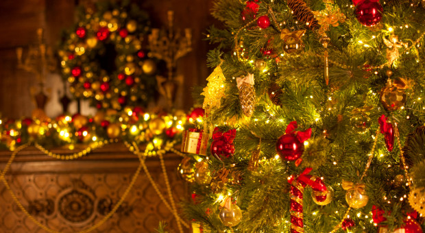 Bożonarodzeniowa choinka - symbol rajskiego drzewa
