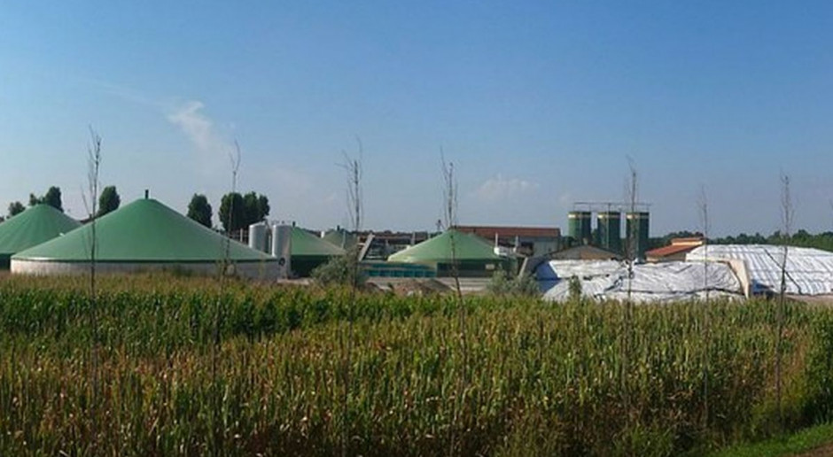 fot. pixabay Produkty biogazowe doprowadzą do potanienia nawozów organicznych?