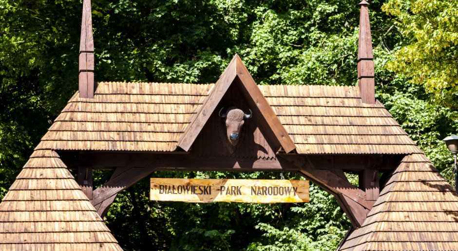 Fot. Shutterstock Puszcza Białowieska: Powstały cztery nowe wioski tematyczne