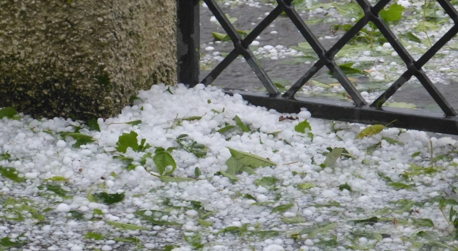 Rusza nabór wniosków na pomoc z PROW po klęskach żywiołowych; fot. pixabay Możliwe odtworzenie potencjału z PROW