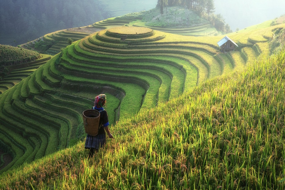 Według chińskiego ministra rolnictwa tradycyjne chińskie praktyki w rolnictwie są nie do utrzymania; Fot. pixabay.com