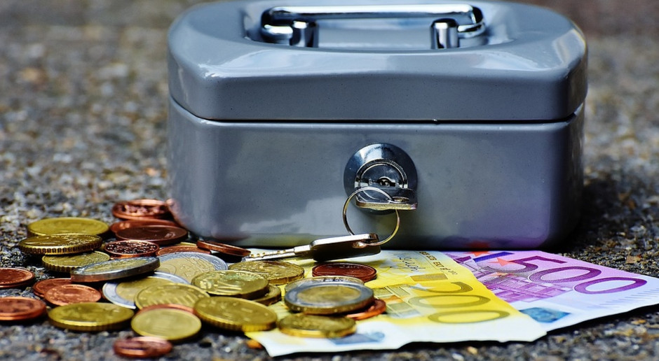Na zwrot pieniędzy wypłaconych na dopłaty trzeba czekać ok. 2 miesięcy; fot. pixabay Nie ma problemu z unijnym zwrotem pieniędzy za dopłaty