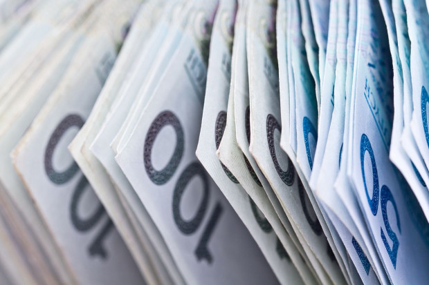 Informacje o spółkach celowych KOWR budzą niepokój, fot. shutterstock Czy spółki celowe KOWR spełniają swoje zadania?