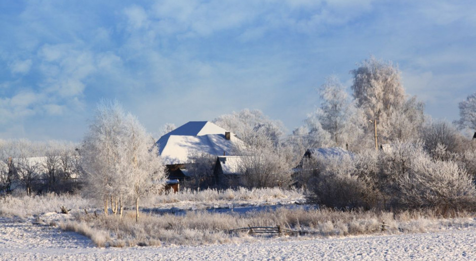 Fot. Shutterstock Etnograf: Nowy Rok w polskiej tradycji to szczególny dzień, starajmy się go świętować