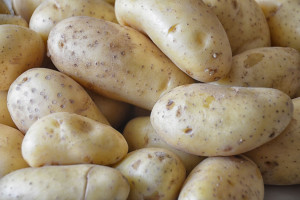 Rosja: Rekordowy eksport ziemniaków