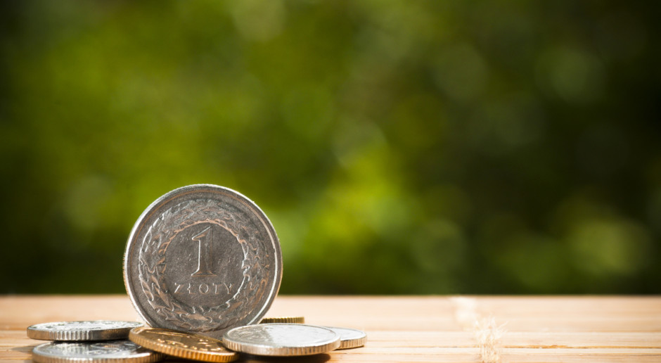 Fot. Shutterstock Dla kogo „Premie na rozpoczęcie działalności pozarolniczej” z PROW?