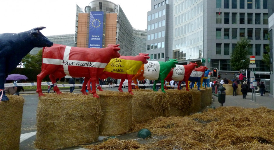 Manifestacje EMB są zawsze niezwykle efektowne, a często również efektywne, fot.EMB Europejscy producenci mleka szykują się na manifestację w Brukseli