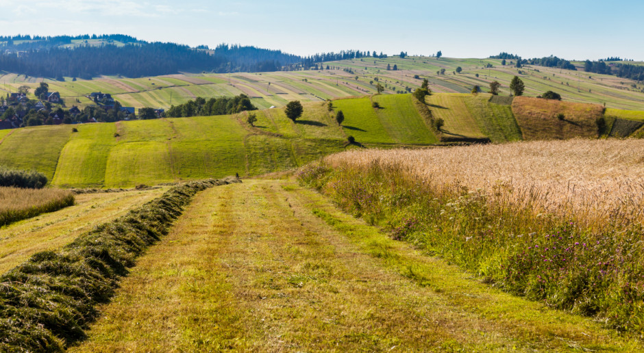 Fot. Shutterstock Rząd przyjął projekt ustawy o Krajowym Ośrodku Wsparcia Rolnictwa