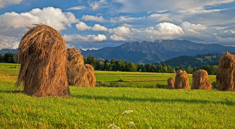 Zmiany obszarów ONW dotyczą tylko nizin; fot. pixabay Gospodarstwa, które utracą ONW, będą miały okres przejściowy