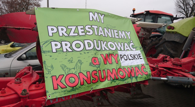 Czy na polskiej wsi jest jeszcze miejsce dla kur i świń?