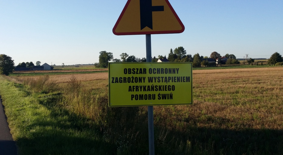 Fot. K. Hołownia MRiRW chce uruchomić program do walki z ASF