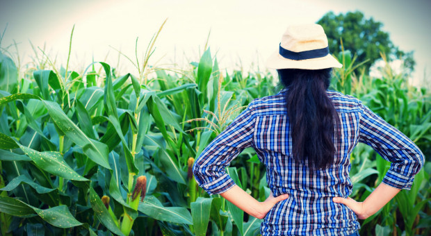 Raport: kobiety związane z rolnictwem są zadowolone z życia na wsi