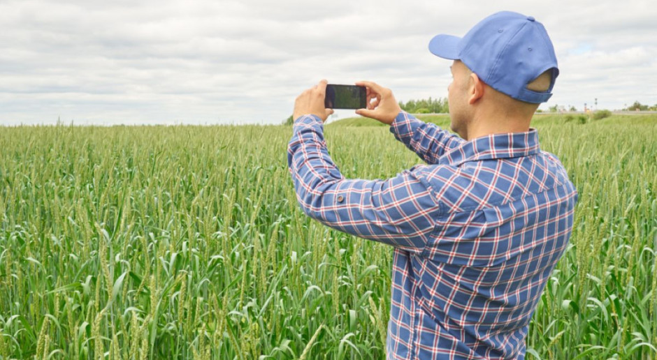 Czasem wyznaczenie granicy działki może być problematyczne, szukamy więc sposobów na ułatwienie; Fot. Shutterstock Jak zmierzyć powierzchnię działki... telefonem?