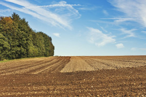 Rolnik – zawód reglamentowany tak, jak ziemia