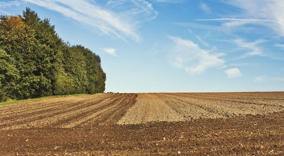 fot. pixabay Rolnik – zawód reglamentowany tak, jak ziemia