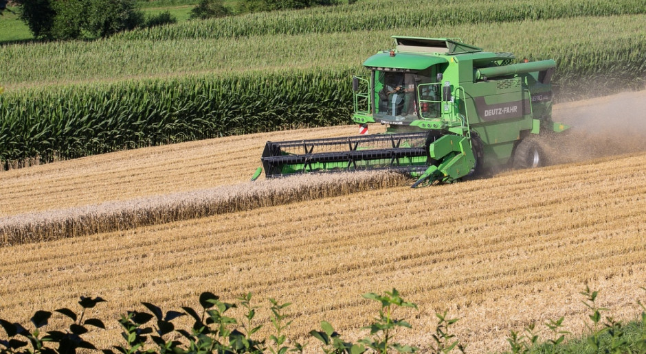 W 2016 r. zbiory zbóż w Azerbejdżanie wyniosły 3,65 mln ton, czyli o 2,2 proc. więcej niż w 2015 r. (Fot.pixabay.com) Azerbejdżan: Wzrosła produkcja rolnicza