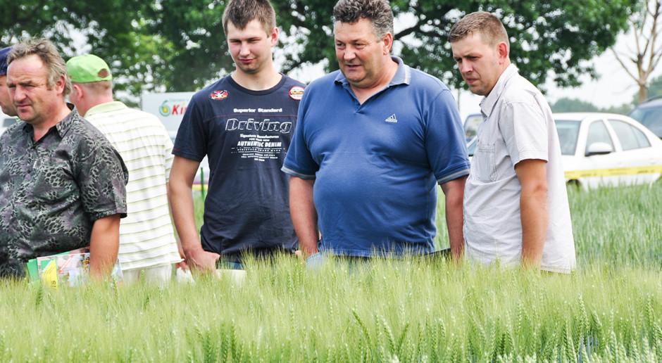 Fot. W. Konieczny Jakie nowości, co wciąż popularne? - Nowe odmiany zbóż jarych