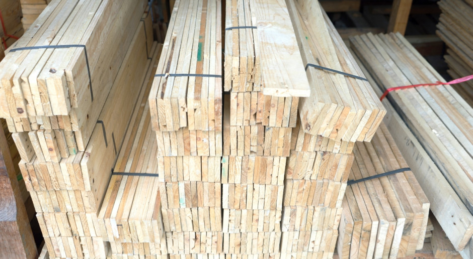 Zachodniopomorskie: Leśnicy sprzedali najcenniejsze drewno