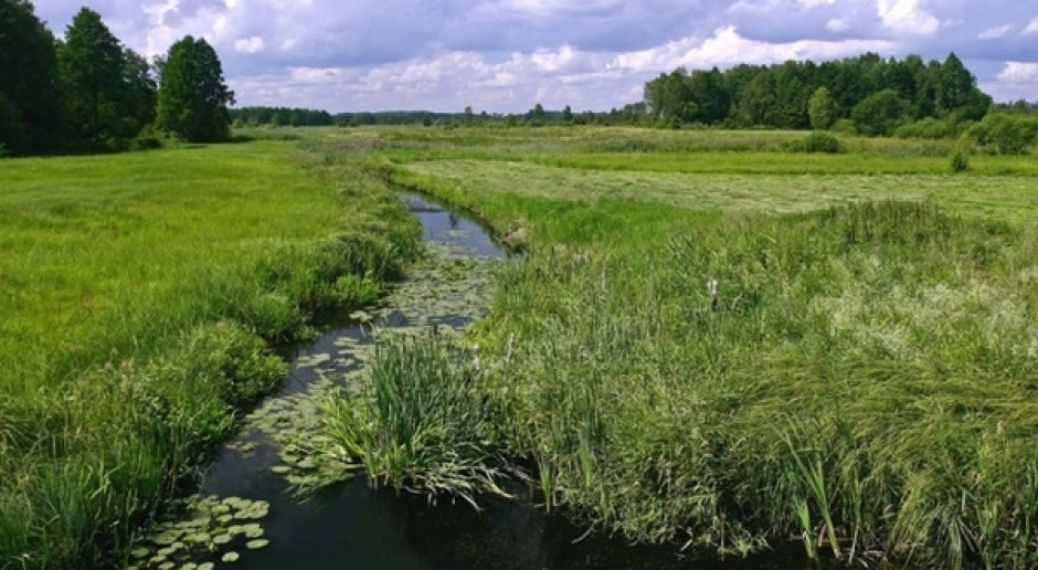 Fot. Shutterstock 8 września "Biebrzańskie Sianokosy", jeszcze można się zgłaszać