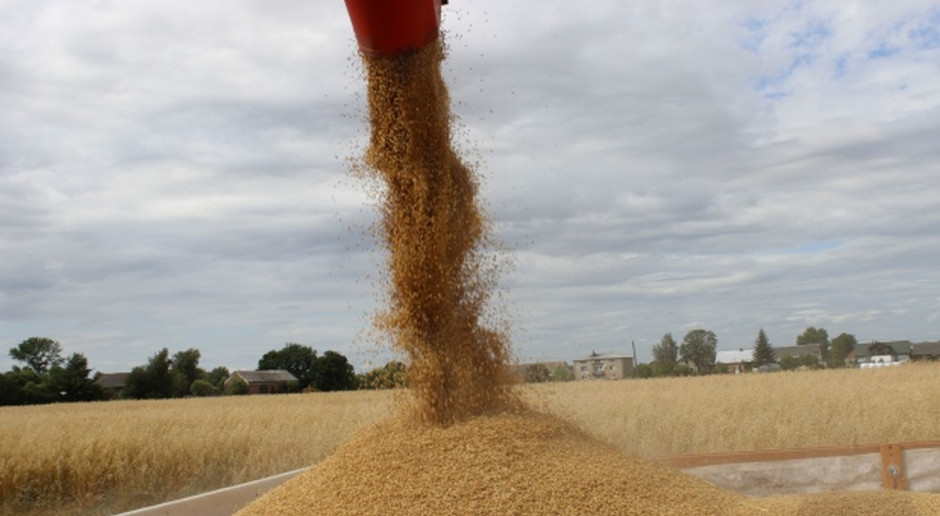 Rosja: Eksport zbóż wolniejszy niż w poprzednim sezonie