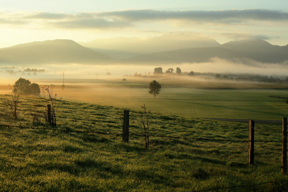 Średnie ceny gruntów rolnych w Szwecji gwałtownie wzrosły; Fot Shutterstock