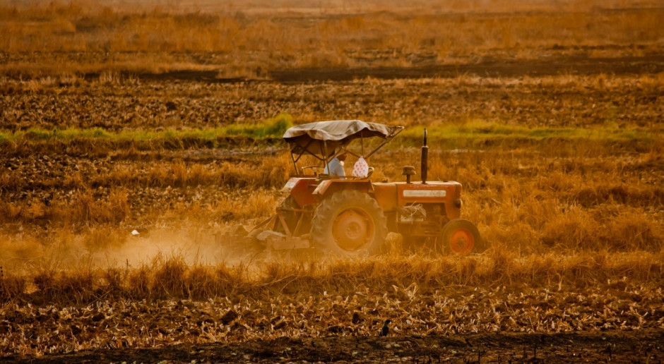 Rośnie światowa produkcja rolnictwa ekologicznego
