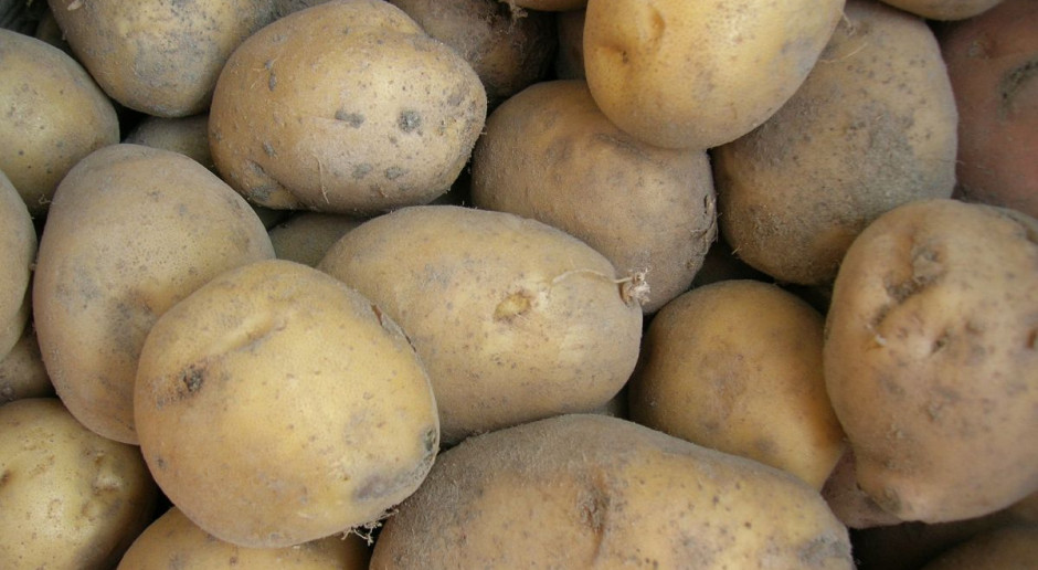 GUS: W styczniu większość produktów rolnych podrożała - najbardziej ziemniaki