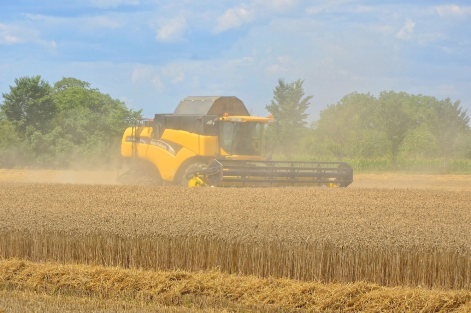 Według ostatniej prognozy Międzynarodowej Rady Zbożowej (IGC), światowa produkcja zbóż w sezonie 2016/2017 powinna być o 8 mln ton wyższa niż szacowana w grudniu (Fot.pixabay.com)