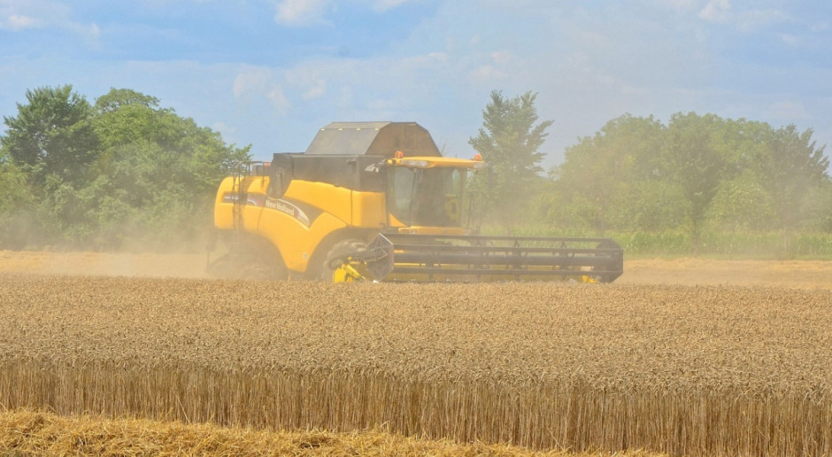 IGC: Prognoza większej światowej produkcji zbóż