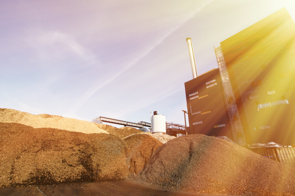 KE podjęła nieudaną próbę zniwelowania podziałów w sprawie wykorzystania biomasy leśnej w produkcji. Foto. Shutterstock