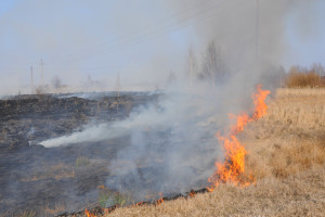 Od początku roku śląscy strażacy wyjeżdżali już do blisko 2400 pożarów traw