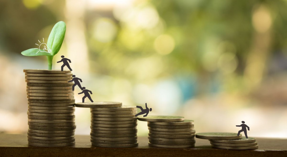 Dopłaty powinny wyrównywać dochód rolnika, a nie różnicować go; fot. Shutterstock Dopłaty jako rekompensata kosztów produkcji?