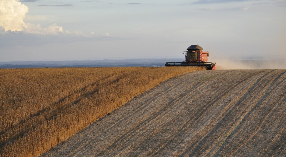 USDA: Prognoza światowej produkcji soi wzrosła w ciągu miesiąca z 336,62 do 340,79 mln ton (Fot.pixabay.com) USDA: Wzrost prognozy światowej produkcji nasion oleistych