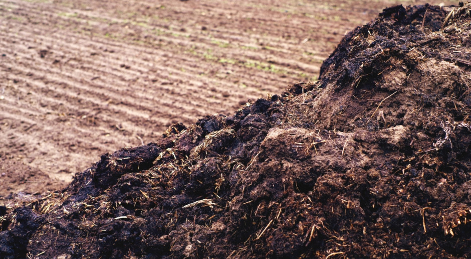 Fot. Shutterstock Opolskie: Rolnicy importują obornik z Holandii