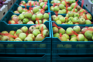 MRiRW: Polska chce sprzedawać w Indiach drób, wieprzowinę i jabłka