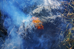 Rok po pożarze nad Biebrzą - parki narodowe apelują o niewypalanie traw