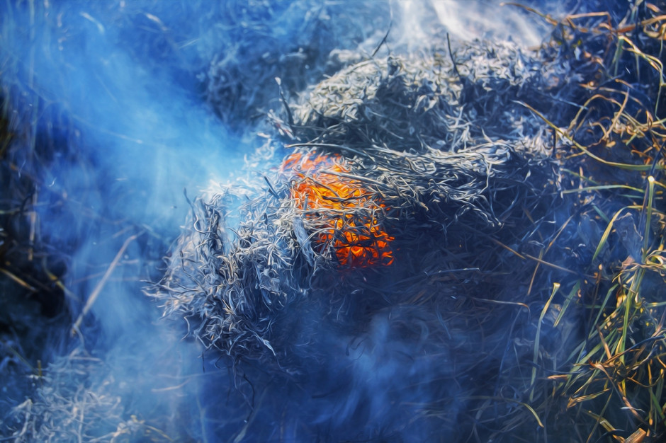 19-26 kwietnia 2020 r. w pożarze Biebrzańskiego PN spłonęło 5,5 tys. ha terenu i jego otuliny, fot. Shutterstock
