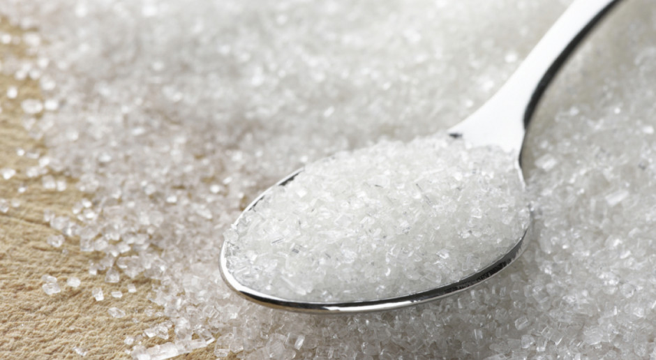 Fot. Shutterstock ZPC: Produkcja cukru w Polsce w ostatnim sezonie wzrosła aż o 44 proc.
