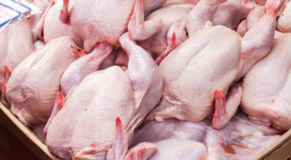 Branża drobiarska: Musimy uporać się z ptasią grypą