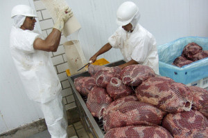 Najwięksi producenci mięsa w Brazylii sprzedawali zepsutą wołowinę i drób