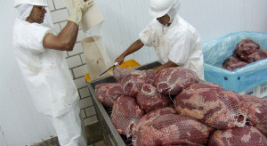 Brazylia uzyska dostęp do kanadyjskiego rynku wieprzowiny