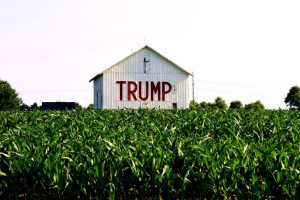 Amerykańska wieś poparła Trumpa, tymczasem prezydent planuje cięcia w rolnictwie