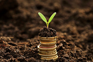 ARiMR: Nabór wniosków o wsparcie inwestycji m.in. w przetwarzanie produktów rolnych