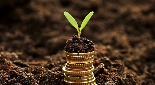 ARiMR: Nabór wniosków o wsparcie inwestycji m.in. w przetwarzanie produktów rolnych