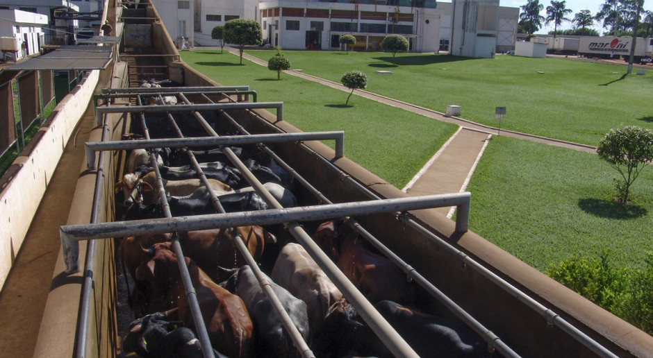UE będzie kontrolować 100 proc. mięsa z Brazylii na granicach