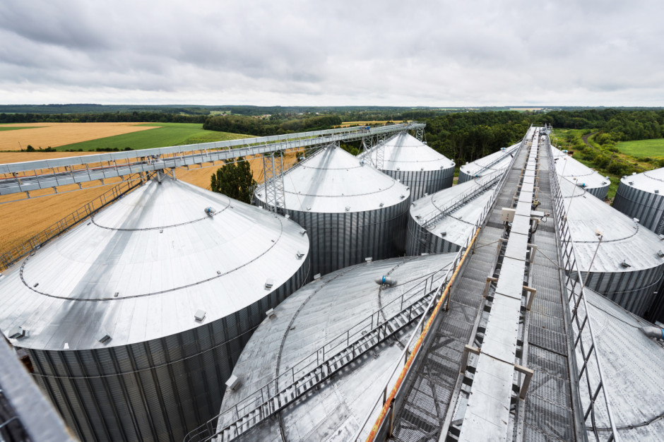 Rząd zwróci się do Komisji Europejskiej o stworzenie takich mechanizmów, które zabezpieczą racjonalny eksport zbóż z Ukrainy, aby trafiało ono poza Polskę, fot. Shutterstock
