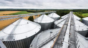 Kołodziejczak on reducing the surplus of grain on the market: I will talk to experts about developing a mechanism