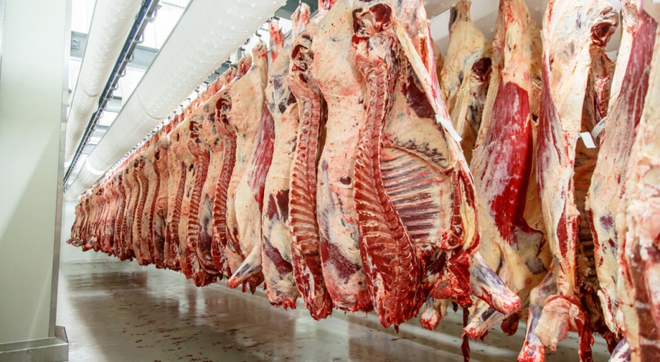 Rada Sektora Wołowiny chce zakazu importu wołowiny z Brazylii