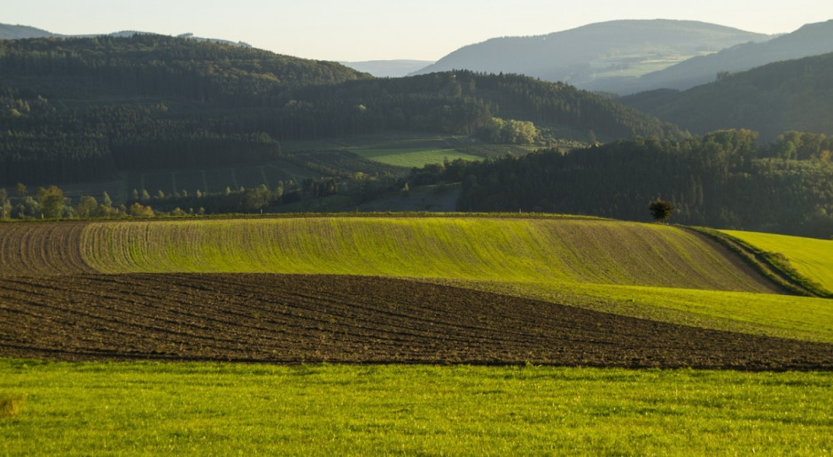 USDA: W br. większe będą zasiewy soi i rzepaku , a mniejsze pszenicy i kukurydzy (Fot.pixabay.com) USA: Więcej soi i rzepaku, mniej pszenicy i kukurydzy